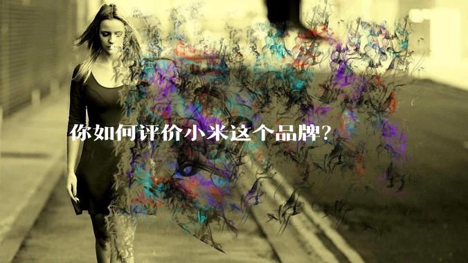 你如何评价小米这个品牌?