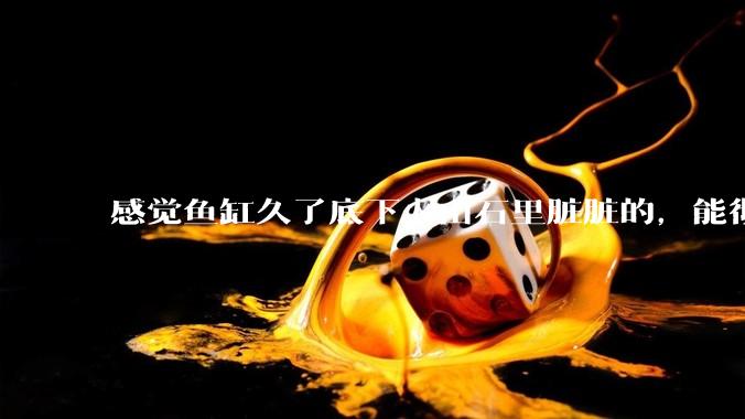 感觉鱼缸久了底下火山石里脏脏的,能彻底换水清理一遍不?